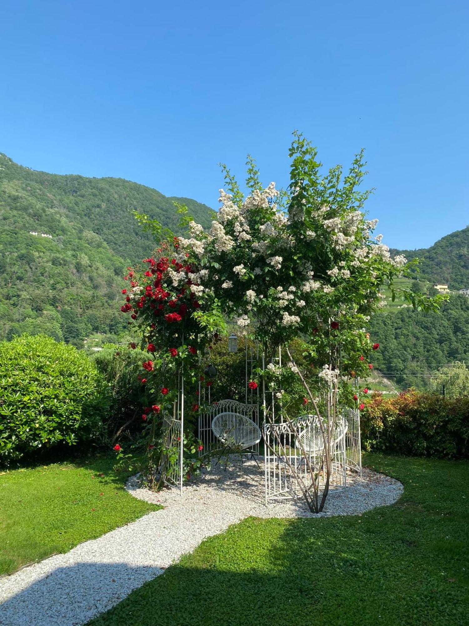 บีแอนด์บี กาซา เดล นอนโน Bed & Breakfast Adrara San Rocco ภายนอก รูปภาพ